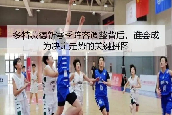 多特蒙德新赛季阵容调整背后，谁会成为决定走势的关键拼图